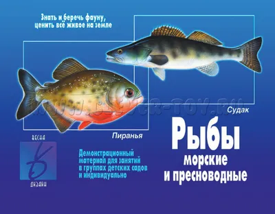 Картинки рыбы океанов и морей и названия (70 фото) » Картинки и статусы про  окружающий мир вокруг