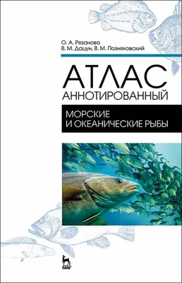 Окунь морской 300-500 гр без головы свежемороженый, весовой (кг) купить по  выгодной цене в СПб