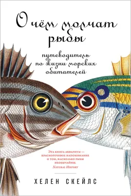 Красивые морские рыбы (59 фото) - 59 фото