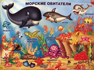 Иллюстрация 1 из 5 для Развивающее лото "Морские животные" | Лабиринт -  игрушки. Источник: Лабиринт