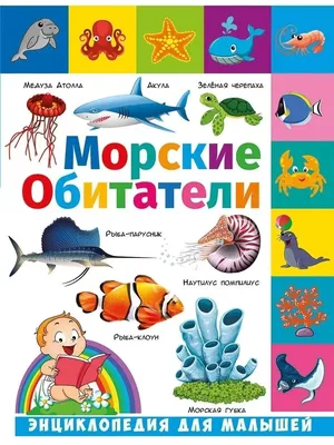 Мини Раскопки "Морские животные", фигурка-игрушка и цветные камни. Опыты и  эксперименты для детей Бумбарам - купить с доставкой по выгодным ценам в  интернет-магазине OZON (190252386)