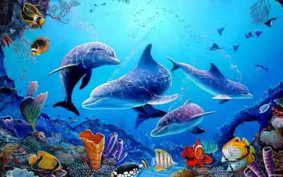 Феєрія мандрів: Забавные факты о морских животных для детей