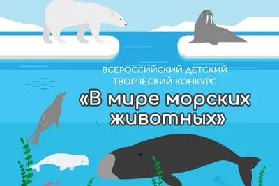 Всероссийский детский творческий конкурс «В мире морских животных»