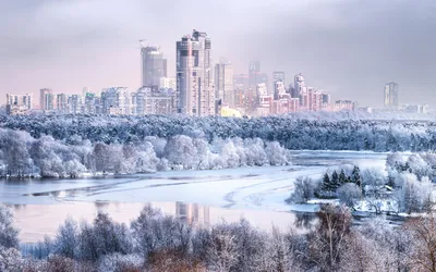 Фотографии Москва Россия Зима снегу в ночи Уличные фонари Здания