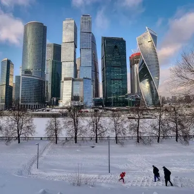 Около «Москва-Сити» построят новые небоскребы: Город: Среда обитания:  