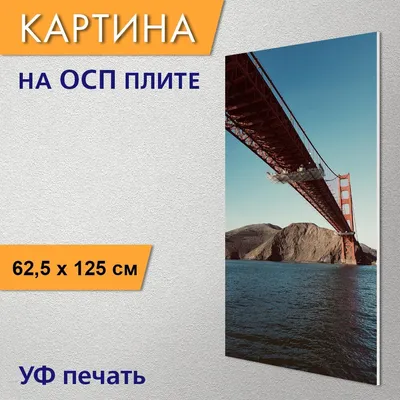 Вертикальная картина "Мост, вода, город" для интерьера на стену / Декор в  дома, спальню, на кухню, детскую комнату, 62 см х 125 см - купить по низкой  цене в интернет-магазине OZON (927655474)