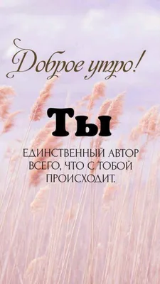 Доброе утро картинки спортивные мотивирующие (50 фото) » Красивые картинки,  поздравления и пожелания - 