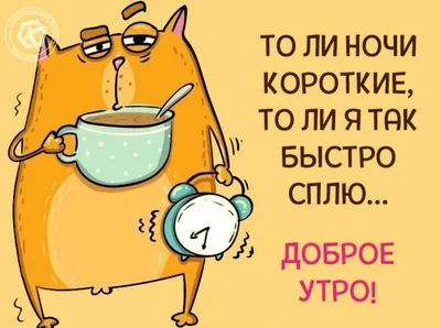 С добрым утром, земляне!... | мотиваторы, Новости Казахстана - свежие  новости РК КЗ на сегодня | 