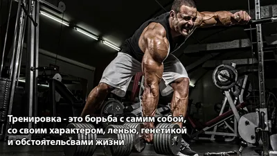 Мотивация для занятий спортом. Часть 2 - FixBody: спорт, бодибилдинг,  фитнес, кроссфит, мотивация