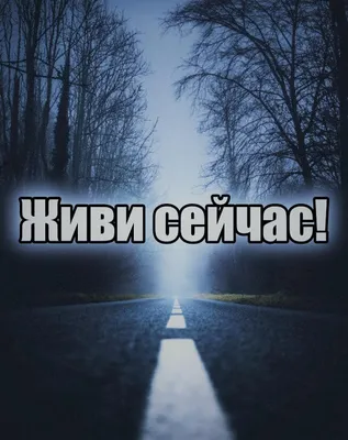  on X: "#цитатадня #lifeha #бизнес #деньги #успех #мотивация  /jJV2tgVydp" / X