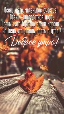 С добрым утром октября - самые красивые новые картинки (61 ФОТО) | Доброе  утро, Открытки, Ежедневные мотивационные цитаты