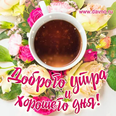 Доброе осеннее утро!☕️ Яркой и позитивной недели!🍁 | Доброе утро,  Счастливые картинки, Мотивационные слова