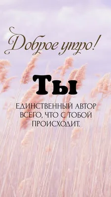 Идеальное утро 🍵 | Мотивационные слова, Мотивирующие цитаты, Случайные  цитаты