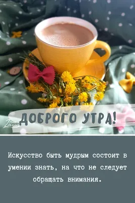 Картинки и открытки с цитатами Доброе утро ☀