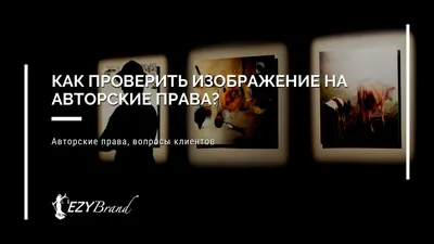 Фотостоки: где найти качественные изображения бесплатно - Блог об email и  интернет-маркетинге