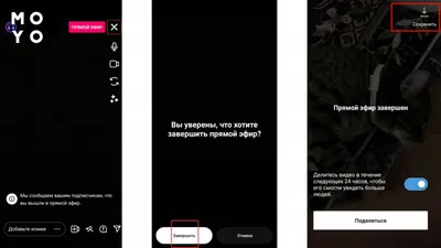 Как сохранять (скачать) свои или чужие сторис из Instagram на iPhone,  Android и компьютер - Яблык: технологии, природа, человек