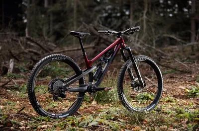 MTBs for off-road adventures.