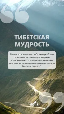 Медаль "За мудрость и справедливость", на ленте триколор купить по выгодной  цене в интернет-магазине OZON (427670010)