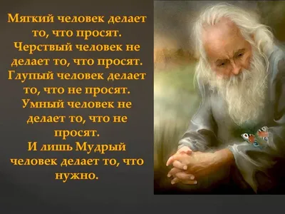 Мудрость веков. 1000 самых важных мыслей в истории человечества. 2-е  издание, дополненное и переработанное | Колесник Андрей Александрович -  купить с доставкой по выгодным ценам в интернет-магазине OZON (270497813)