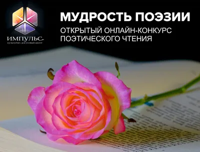 Мудрость | Пикабу