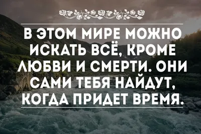 Любовь | Благодарственные открытки, Мудрые цитаты, Любовь