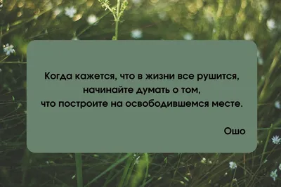 Что такое любовь: 30 цитат о любви писателей и поэтов | Гол.ру