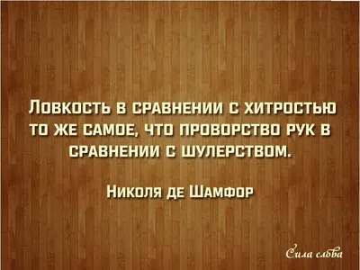 Блохина Ирина - Афоризмы. Великие мужчины о женщинах и о любви. Полное  собрание мужского остроумия и жизненной мудрости | Книжкова Хата - магазин  цікавих книг! м. Коломия, вул. Чорновола, 51