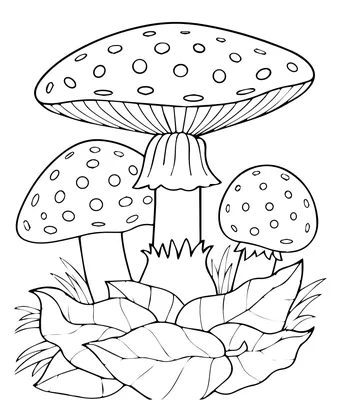 Как нарисовать гриб мухомор (54 фото) » Идеи поделок и аппликаций своими  руками - Папикпро.КОМ