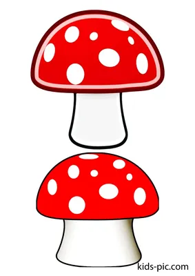 грибы сет гриб сыроежка мухомор PNG , сыроежка, Дети, Набор PNG картинки и  пнг рисунок для бесплатной загрузки