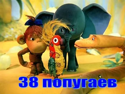 9,78 попугая