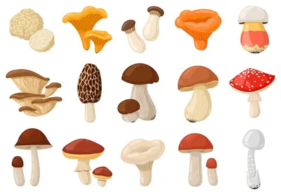 Мультяшные грибы картинки - 48 фото