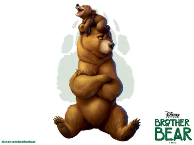 Мультяшный стикер удивленный медведь клипарт PNG , медведь клипарт, медведь  картинки, удивляться PNG картинки и пнг PSD рисунок для бесплатной загрузки