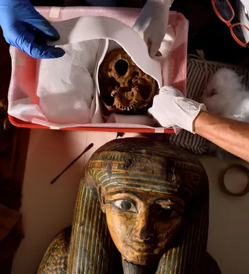 Обнаружена первая в мире беременная мумия