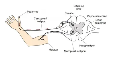 Неприятности случаются. Аж мурашки по коже! / Писец - приколы интернета