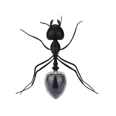 Милый волшебный муравей на солнечной батарее EBOYU, муравей, насекомые,  солнечные игрушки для детей | AliExpress
