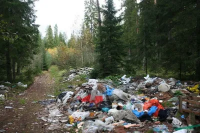 Мусор в лесу ПБ - Региональные новости - Новости, объявления, события -  Администрация сельского поселения Сытомино