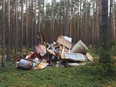 Выброс мусора в лесах фиксируют видеокамеры, штраф — до 2 тыс. евро,  напоминают специалисты / Статья
