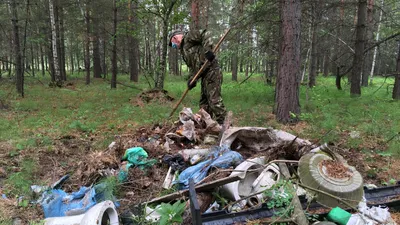 В России придумали, как бороться с мусором на природе - 