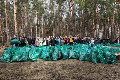 Не бросайте мусор в лесу! — Объединённая дирекция заповедника  «Саяно-Шушенский» и национального парка «Шушенский бор»