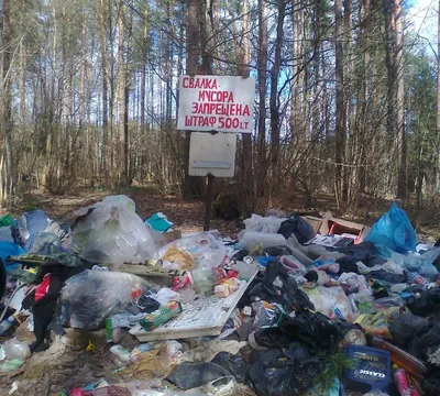 Вывалил мусор в лесу? Ответишь! - Статьи - Кабанская районная газета  «Байкальские огни»