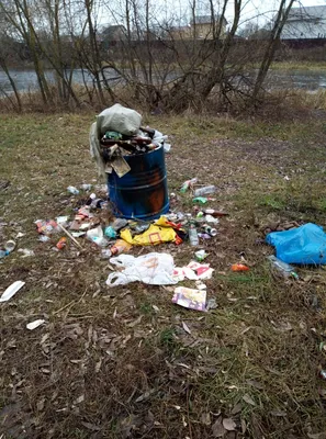 В 7 мкр снова не убирают мусор. Фото