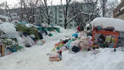 Экология-Новосибирск": скопившийся в городе мусор вывезут до 25 апреля