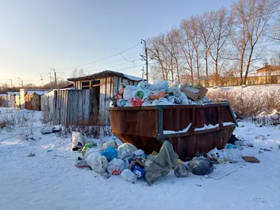 Регоператор расторг договор с крупнейшим перевозчиком — кто вывезет мусор —  РБК