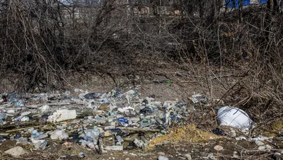 Отдыхающие все загадили": фотографии мусора на природе вызвали оторопь