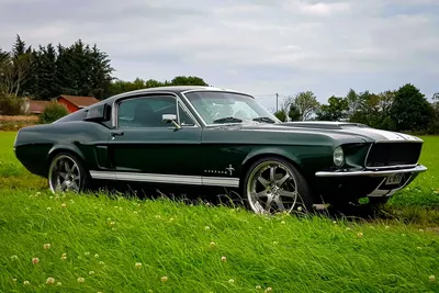 Как 980-сильный Ford Mustang Shelby GT500 стал моей машиной на каждый день  Автомобильный портал 5 Колесо