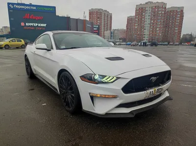 Мой боевой конь - Отзыв владельца автомобиля Ford Mustang 2020 года ( VI  Рестайлинг ): 2.3 AT (317 л.с.) | Авто.ру