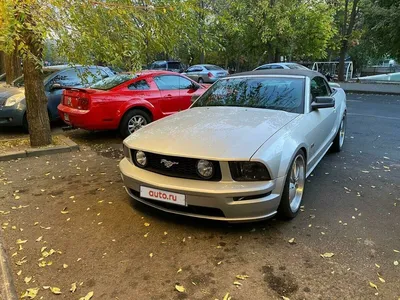 mustang - Легковые автомобили - 