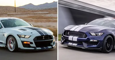 Ford Mustang GT vs GT500 | Stone Mountain, Lawrenceville, Tucker, GA