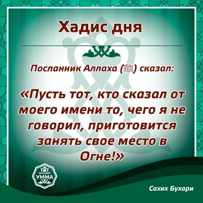 Хадис о милосердии к животным. Во всем живом есть награда | Muntaqa ￼ |  Мусульманские цитаты, Идеи для фото, Мрачные фотографии