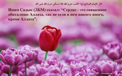 Pin by Universal Academy of Islam 🇵? on (Russian) Русский | Movie posters,  Movies, Poster